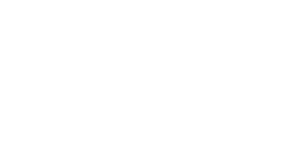 Partner Logo Hso