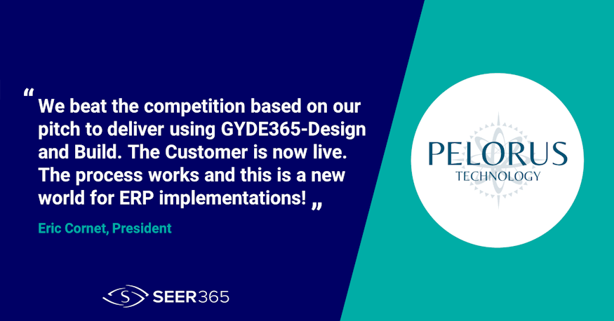 Pelorus Technology Renewal Aug 2025 Website 875x460