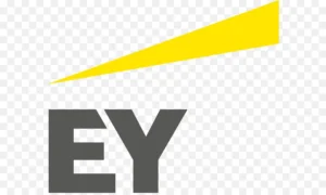 Ey Logo